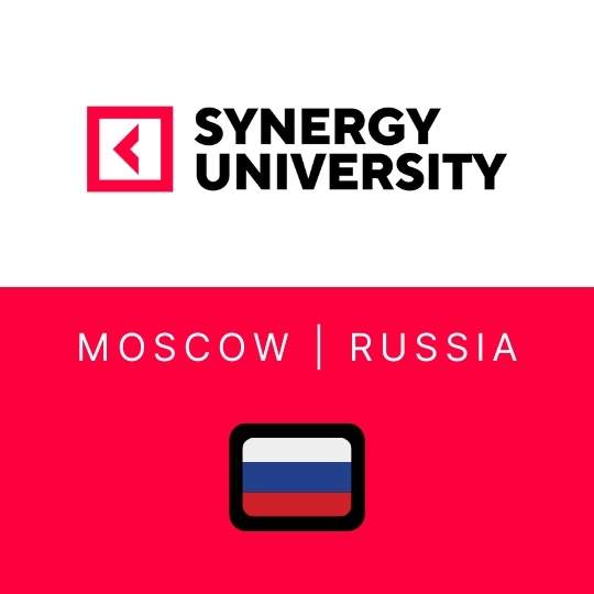 Synergy University Logo